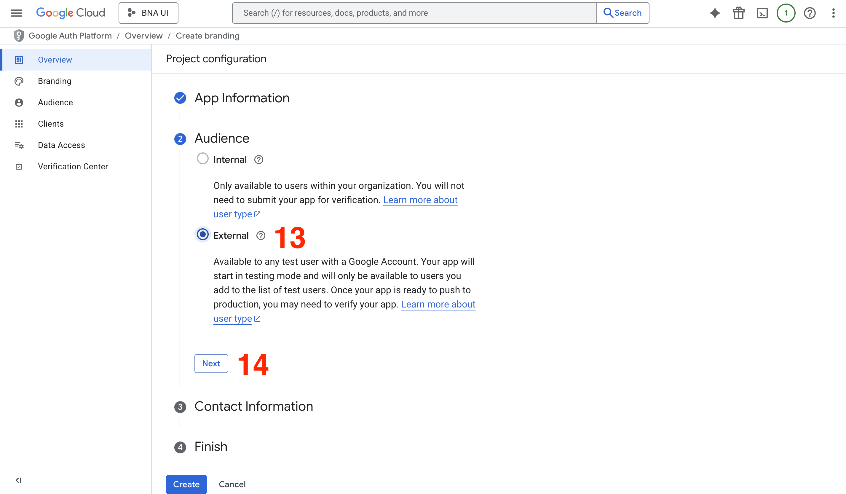 OAuth consent screen summary with publishing status